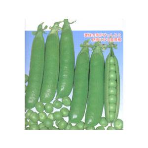 グリーンパワー 1L詰 さやえんどう サヤエンドウ 莢豌豆【丸種 種 たね タネ】【通常5倍 5のつ...