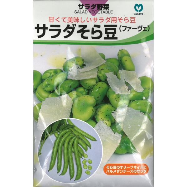 サラダそら豆(城陽長莢) 1L詰 豆 マメ まめ【丸種 種 たね タネ】【通常5倍 5のつく日はポイ...