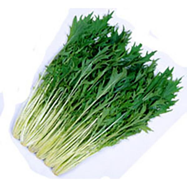 金賞 早生はりはり605京水菜 2dl詰 水菜 ミズナ みずな【丸種 種 たね タネ】【【通常5倍 ...