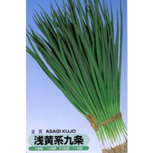 金賞 浅黄系九条 1L詰 葱 ネギ ねぎ【丸種 種 たね タネ】【通常5倍 5のつく日はポイント10...