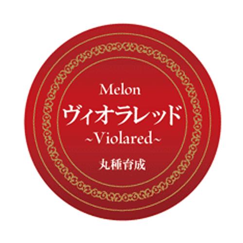 ヴィオラレッド シール 500枚 めろん メロン 舐瓜【丸種 種 たね タネ】【【通常5倍 5のつく...