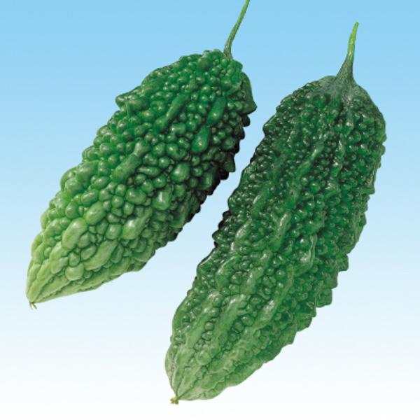 あばしゴーヤ 2dl 苦瓜 ゴーヤ ごーや ニガウリ にがうり  中原採種場 【中原採種場 種 たね...