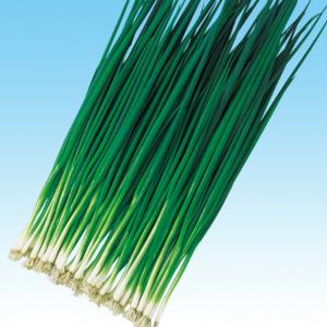 さんぺい葱 1l 葱 ネギ ねぎ F1 中原採種場 【中原採種場 種 たね タネ 】【通常5倍 5のつく日はポイント10倍】