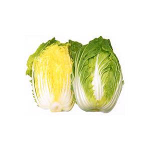 黄苑80 キダネFC 3500粒 白菜 ハクサイ はくさい ノウリン交配 【日本農林社 種 たね タ...