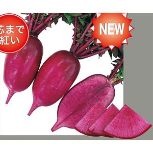 SK9-099 ブロッコリー種子 ペレット5000粒 【野菜種子】【サカタのタネ