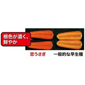 恋うさぎ コート 1万粒 ニンジン にんじん ...の詳細画像1