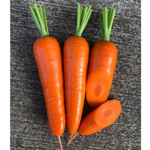 唐辛子の種 朝鮮なんばん (激辛) 5ml ( 野菜の種 ) : 菜園くらぶ Yahoo