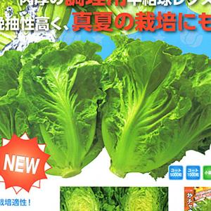 SK9-099 ブロッコリー種子 ペレット5000粒 【野菜種子】【サカタのタネ