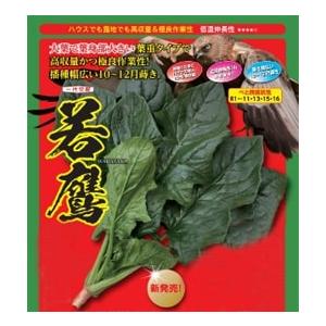 SK9-099 ブロッコリー種子 ペレット5000粒 【野菜種子】【サカタのタネ