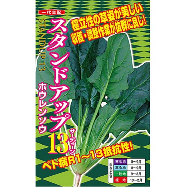 スタンドアップ13 PRM3万粒 ほうれん草 法蓮草 ホウレンソウ ほうれんそう【ナント 種 たね ...