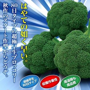 SK9-099 ブロッコリー種子 ペレット5000粒 【野菜種子】【サカタのタネ