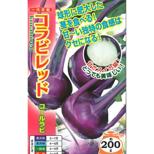 コラビレッド 2000粒 コールラビ こーるらび【ナント 種 たね タネ】【通常5倍 5のつく日はポ...