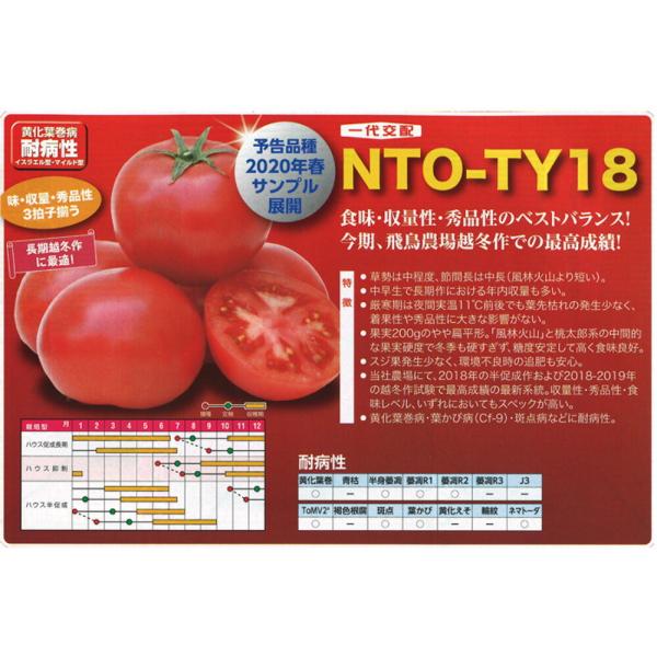 TYプリマドンナ 500粒 トマト とまと 蕃茄 【ナント 種 たね タネ 】【通常5倍 5のつく日...