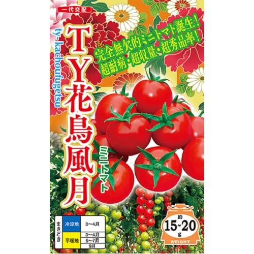 TY花鳥風月 500粒 トマト とまと 蕃茄 【ナント 種 たね タネ 】【通常5倍 5のつく日はポ...