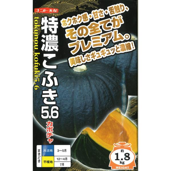 特濃こふき5.6 500粒 南瓜 カボチャ かぼちゃ 【ナント 種 たね タネ 】【通常5倍 5のつ...