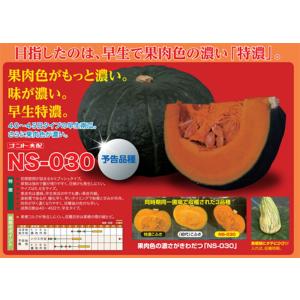 ハニーブラウン NS-030 100粒 南瓜 カボチャ かぼちゃ 【ナント 種 たね タネ 】【通常5倍 5のつく日はポイント10倍】