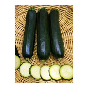 モスグリーン 100粒 ズッキーニ　ナント交配 【ナント 種 たね タネ 】【通常5倍 5のつく日は...