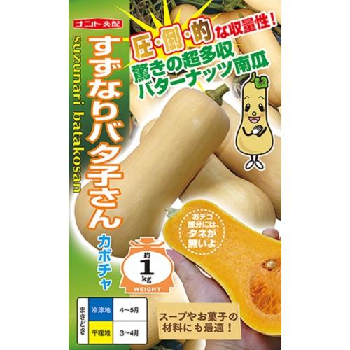 すずなりバタ子さん 100粒 南瓜 カボチャ かぼちゃ 【ナント 種 たね タネ 】【通常5倍 5の...