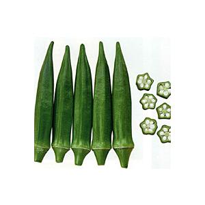 アベルグリーン 1万粒 オクラ おくら 【ナント 種 たね タネ 】【通常5倍 5のつく日はポイント...