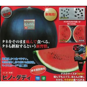 ピノダディ 100粒 スイカ すいか 西瓜 【...の詳細画像1