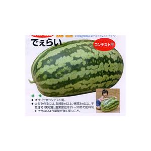 サマーオレンジベビー 200粒 スイカ すいか 西瓜 【ナント 種 たね