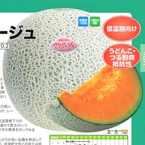 tanemori-netshop_nanto-0093