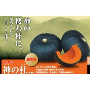 神の杜 100粒 南瓜 カボチャ かぼちゃ 種子 種 タネ 【ナント 種 たね タネ 】【通常5倍 ...