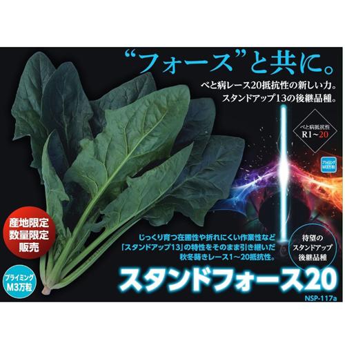 スタンドフォース20 プライマックスM3万粒 ほうれんそう 法蓮草 【ナント 種 たね タネ】【通常...