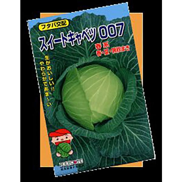スィートキャベツ007(ベレット) 5000粒 キャベツ【野原種苗 種 たね タネ】【通常5倍 5の...