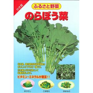 のらぼう菜 1dl ノラボウナ【野原種苗 種 たね タネ】【通常5倍 5のつく日はポイント10倍】 ...