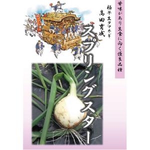 超極早生タマネギ 種 『浜笑』 カネコ種苗/ペレット5000粒 : 種兵