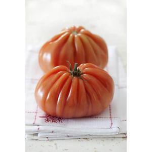 MST-1331 1000粒 トマト とまと 蕃茄 一代交配【武蔵野種苗 種 たね