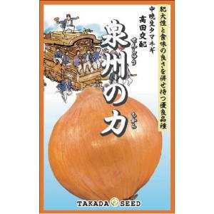 野菜の種/種子 ネオアース・タマネギ 2dl袋入り（大袋）タキイ種苗