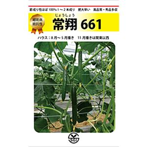 常翔(じょうしょう)661 350粒 胡瓜 キュウリ きゅうり【シード 種 たね タネ 】【通常5倍 5のつく日はポイント10倍】