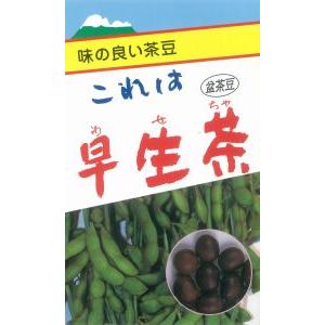 盆茶豆(早生茶豆) １L  枝豆 えだまめ エダマメ【佐藤政行種苗 種 たね タネ】【通常5倍 5の...