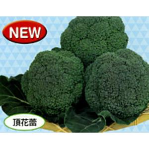 SK9-099 ブロッコリー種子 ペレット5000粒 【野菜種子】【サカタのタネ