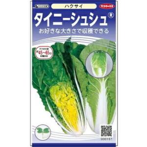 タイニーシュシュ 白菜 20ml 白菜 ハクサイ はくさい【サカタ 種 たね タネ】【通常5倍 5のつく日はポイント10倍】｜全国種苗出荷センター