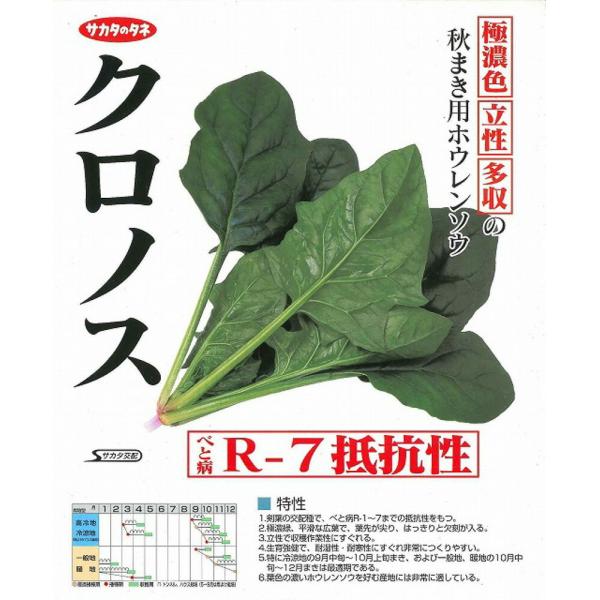 クロノス法連草 L2万粒 ほうれん草 法蓮草 ホウレンソウ ほうれんそう【サカタ 種 たね タネ】【...