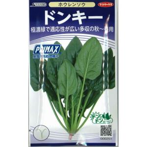 ドンキー法連草 M3万粒 ほうれん草 法蓮草 ホ...の商品画像