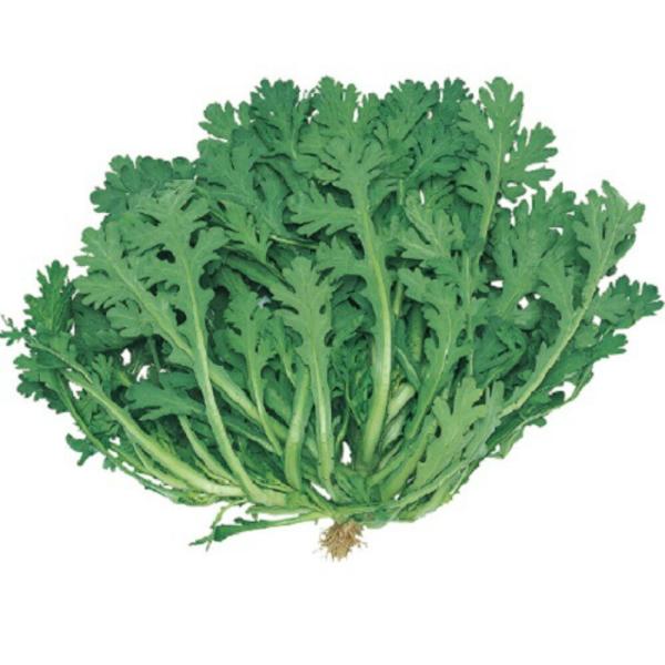 さとにしき春菊 1L 春菊 しゅんぎく シュンギク【サカタ 種 たね タネ】【通常5倍 5のつく日は...