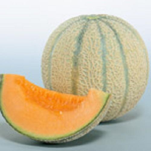 マルセイユメロン 100粒袋 めろん メロン 舐瓜【サカタ 種 たね タネ】【通常5倍 5のつく日は...