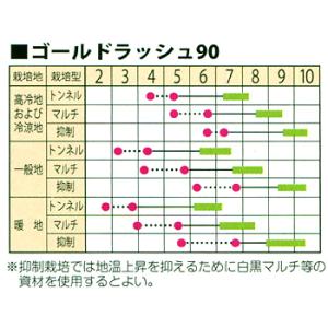 ゴールドラッシュ90 スイートコーン 2000...の詳細画像1
