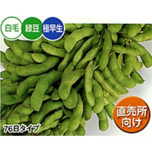 SK9-099 ブロッコリー種子 ペレット5000粒 【野菜種子】【サカタのタネ