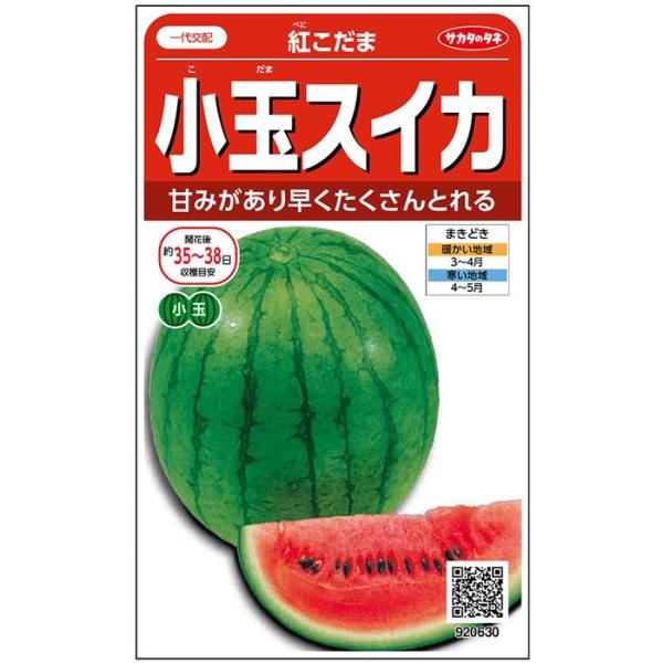 紅こだま 100粒 スイカ すいか 西瓜【サカタ 種 たね タネ】【通常5倍 5のつく日はポイント1...