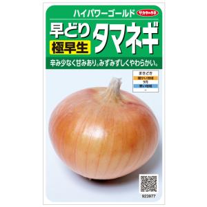 ハイパワーゴールド 20ml 玉葱 タマネギ たまねぎ 【サカタ 種 たね タネ】【通常5倍 5のつく日はポイント10倍】