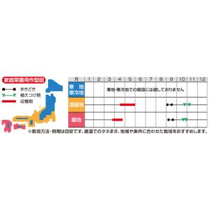 ハイパワーゴールド 20ml 玉葱 タマネギ ...の詳細画像2