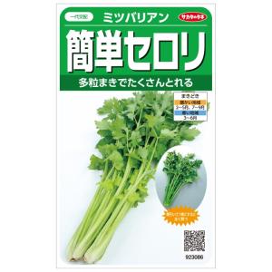 【GWセール】希少種！大人気！ブロッコリー種子 （SK9-099 )5000粒 SK9-099 ブロッコリー種子 ペレット5000粒 【野菜種子】【サカタのタネ