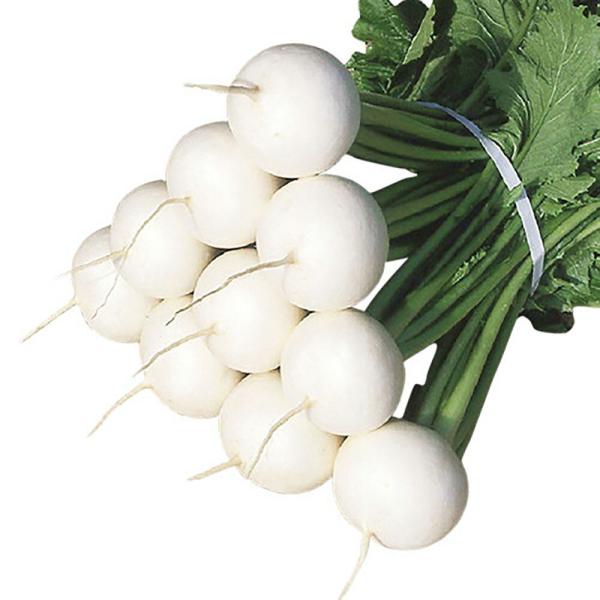 白雪姫蕪 20ml かぶ カブ 蕪 山陽交配 【山陽種苗 種 たね タネ 】【通常5倍 5のつく日は...