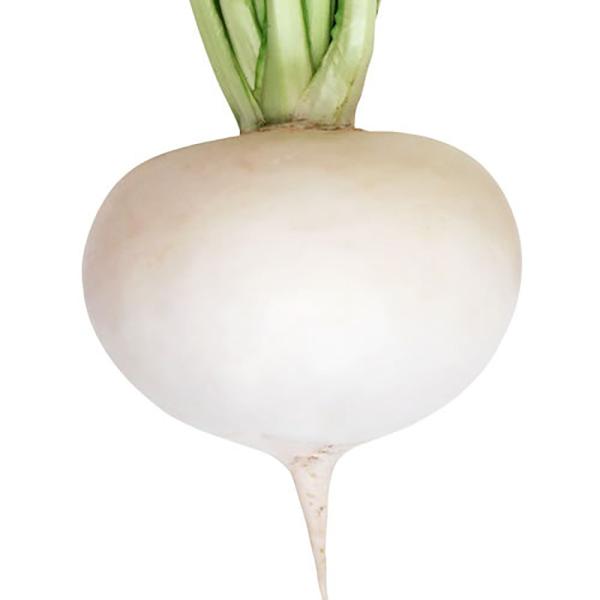 大名蕪 1dl かぶ カブ 蕪 山陽交配 【山陽種苗 種 たね タネ 】【通常5倍 5のつく日はポイ...