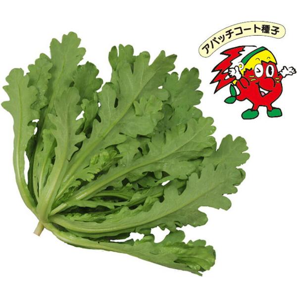 アパッチSコート ボリュームアップ PVP 1万粒 春菊 しゅんぎく シュンギク【山陽種苗 種 たね...